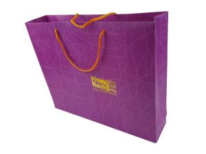 Quality Custom Logo Gold Hot Stamping Purple Color Printing 300G Matte Art Paper Material OEM Design Paper Bag wholesale