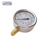 Factory Supply DN65 High Anti-Seismic stainless steel 2.5 inch 1/4"NPT Liquid