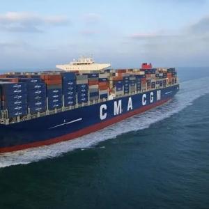 Quality Insurance Available LCL Container Shipping Services With Varying Payment Methods wholesale
