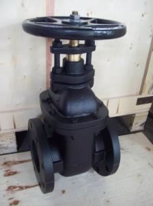 Quality (ANSI) Cast Iron Metal Gate Valve NRS wholesale