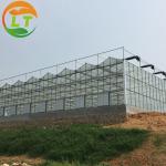 Ventilation System Included Venlo Glass Greenhouse with Galvanized Pipe Steel