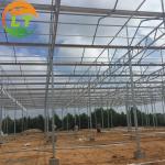 Stable Structure Glass Greenhouse for Growing Vegetables Tomato Skeleton