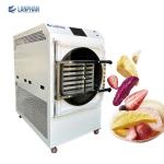 Multi-Function Lab Commercial Vegetable Snack 60KG Vacuum Freeze Dryer
