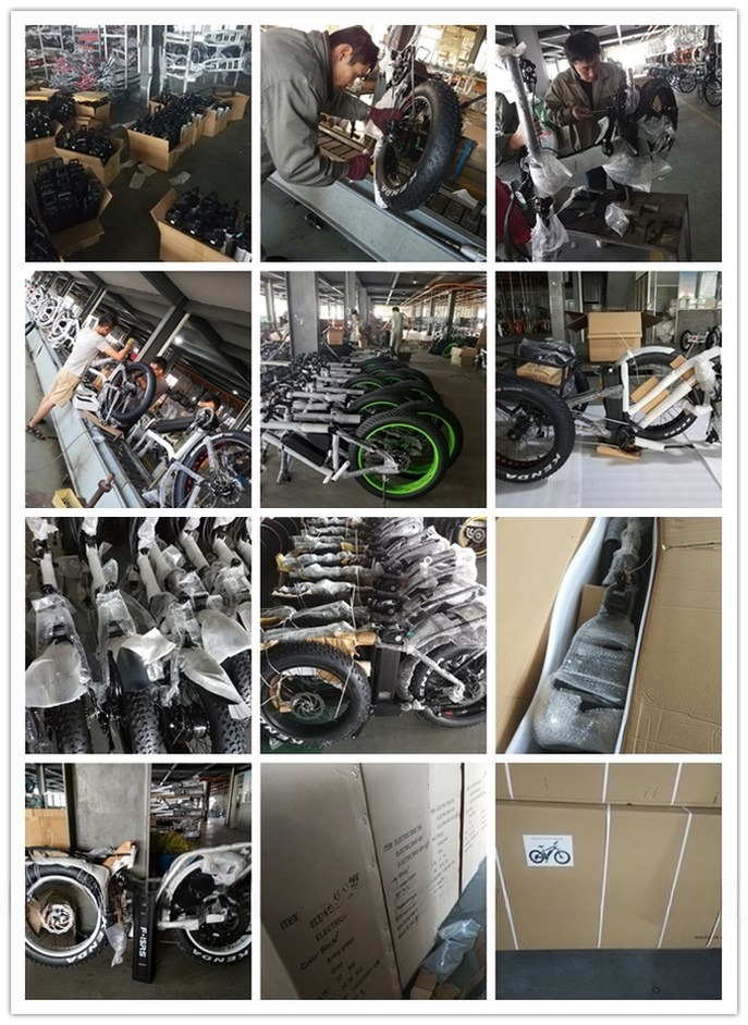 1000W Bafang Mid Drive Motor Alloy Rear Carrier Central Electric Bike with Standards