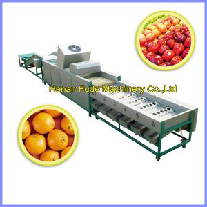 Quality citrus orange cleaning, wax polishing ,grading machine wholesale