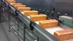 China Supplier Floor Standing Air Cooler Bread Hamburger Toast Spiral Cooling