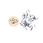 304 Stainless Steel Washer Head Screw Mushroom Head Screw Cross Tapping Screw M0