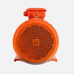 Speed Adjust By VFD Synchronous Permanent Magnet Motor With Rated Speed 750r