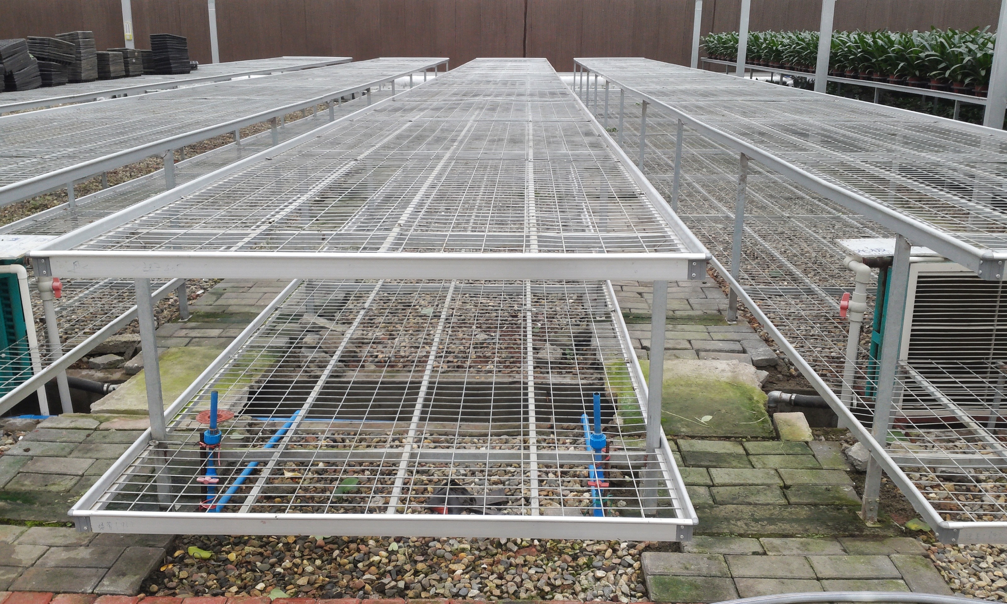 Mobile Seedbeds For Easy Movement And Increased Crop Yields