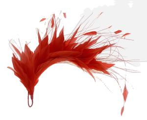 Quality Thanksgiving Occasion Goose Feather Mounts Flowers , Stripped Coque Feathers wholesale