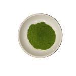68917-51-1 Green Powdered Seaweed Extract Seaweed Polysaccharides 40%