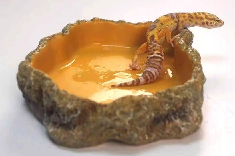Waterproof Non Toxic Reptile Water Dish Easy Cleaning Snake Water Bowl
