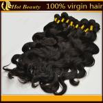 Female Brazilian 100 Remy Human Hair No Shedding , Body Wave Hair