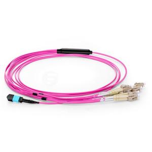 Quality Purple OM4 purple mpo mtp to LC fiber optic patch cord Fanout 12 cores wholesale
