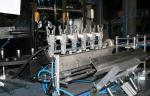 Automatic 6 Cavity Bottle Blowing Machine For Plastic Bottles