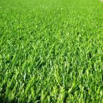 Artificial Turf Grass Home Outward Kids Playing 100 Percent Permeable