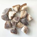 IQF Frozen Shiitake Mushroom Quarter(1/4)