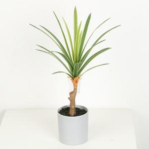 Quality High Imitation Flexible Glue Artificial Dracaena Plant Bonsai 25 CM 32 CM wholesale