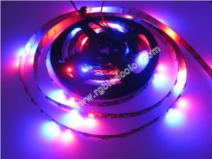 Quality black polish led 2812 digital rgb programmable led tape wholesale