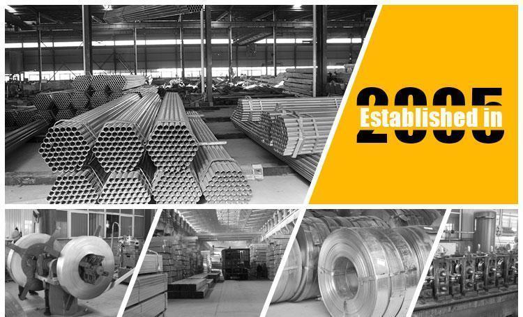 17-25 Microns PE Paint Galvanized Steel Coils Dx51d S280 S320 Galvanized Iron Coil