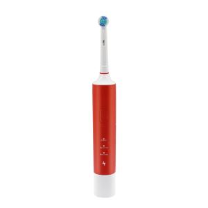 Quality Portable Rotary Electric Toothbrush wholesale