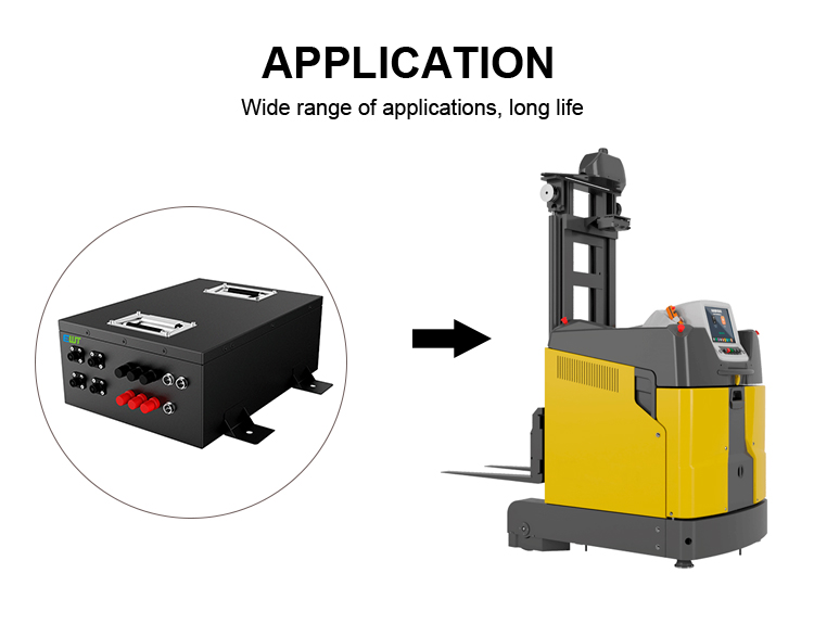 48V 50Ah Lithium Iron Phosphate Battery Pack AGV LiFePO4 Power Battery
