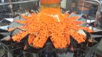 SS316 Weighing Filling Machine Vertical Lettuce Watercress 500g Baby Carrot