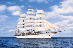 Quality Fitting Deck Boards on a Clipper Ship wholesale