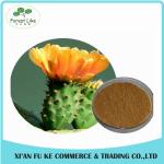 Phamaceutical Ingredient High Quality Low Price Loss Weight Product Cactus