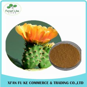 Quality Factory Price Natural Cactus Extract / Cereus Extract for Medicine wholesale