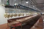 Halal Chicken Abattoir Machine 500BPH - 10000BPH Slaughter Line Equipment