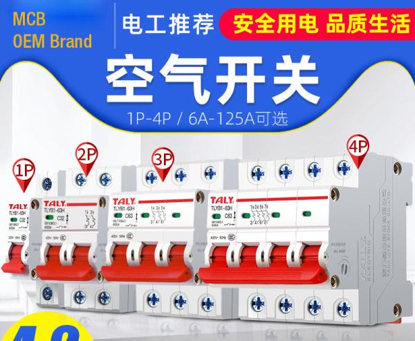 Cheap OEM Miniature Circuit Breaker 6~63A, 80~125A, 1P,2P,3P,4P for Circuit Protection AC220~240V Application for sale
