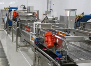 Quality Pre - Cooking Vegetable Blanching Equipment , Vegetable Canning Equipment wholesale