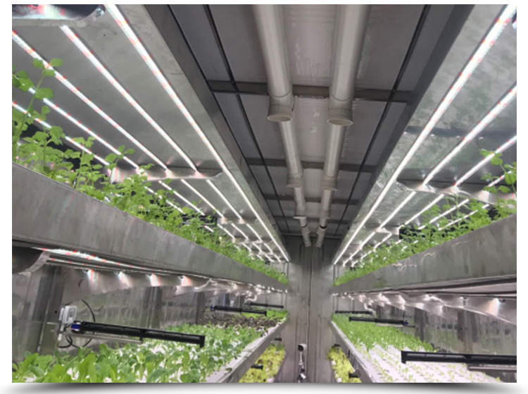 Ventilation fan 40ft Container Greenhouse for Advanced Plant Growth