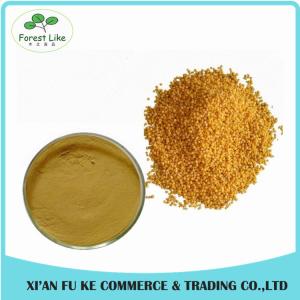 Quality 100% Pure Natural Non GMO Kosher Halal Certified 10:1 Purple Corn Seed Extract Powder wholesale