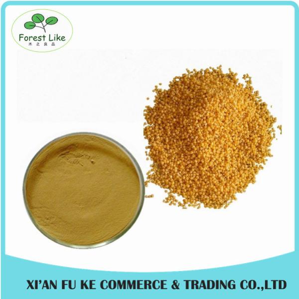 100% Pure Natural Non GMO Kosher Halal Certified 10:1 Purple Corn Seed Extract