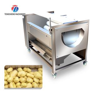 Quality 250KG Carrot Brush Cleaning And Peeling Machine Brush Cleaning Machine wholesale