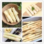 wholesale price sugar cane peeling machine stainless steel sugar cane decorticat