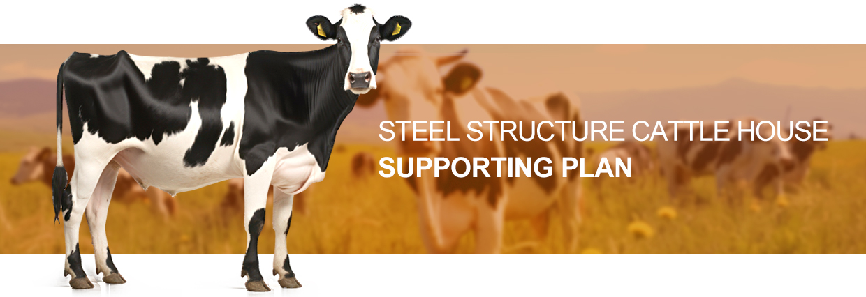 Aluminum Alloy Window and Q345 Prefab Steel Cow Farm Building for Dairy Cow House