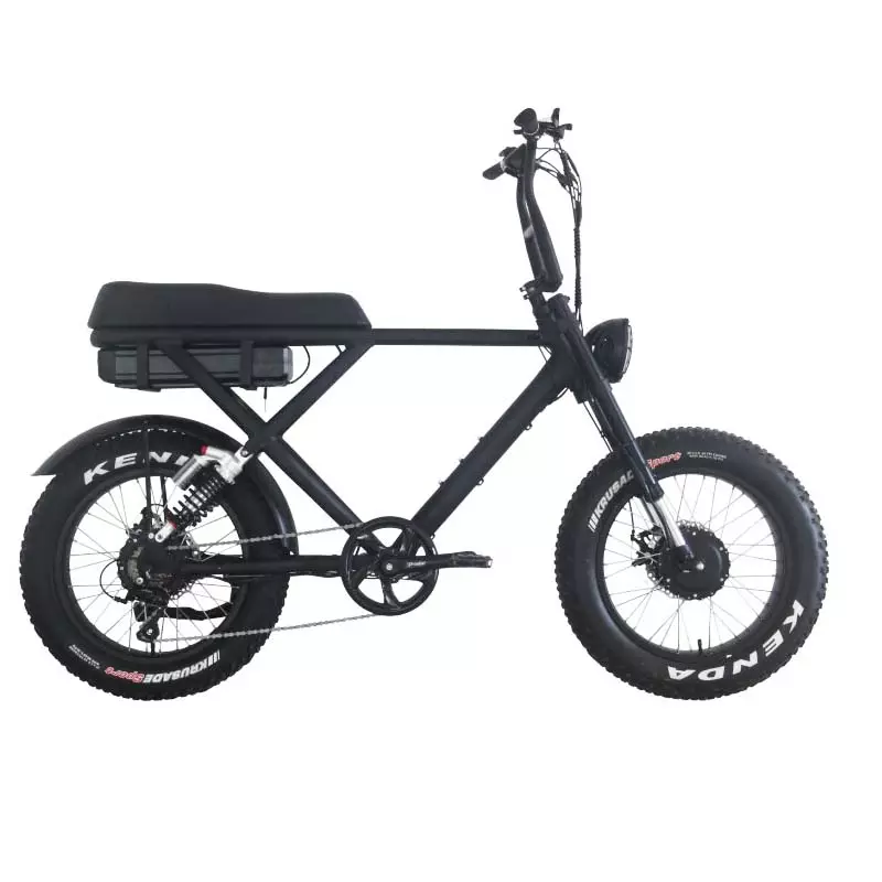 DOMANCA Super Electric Hybrid Bike 73 OEM 48V 20Ah Long Range Ebike 500w/750w/1000w