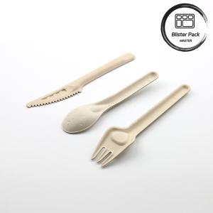 Quality Custom Sugarcane Bagasse Meal Biodegradable Food Containers Eco Friendly wholesale