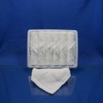 Square Bleached Airline Satin Viscose Towel
