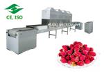 Stainless Steel Flower Dryer Machine Industrial Microwave Drying Oven For Plant
