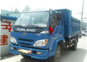 China China famous brand T-king 3 tons mini dump truck 4x2 for sale on sale