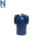 113mm PDC Rock Drill Bit Water Parabolic Arc Drill Bit