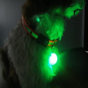 Quality pet safety light with keychain wholesale