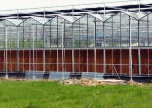 Quality Steel Vegetables Hydroponic Multi Span Glass Greenhouse wholesale