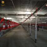 Prefabricated Steel Structure Farm House Light Steel Frame Construction Building