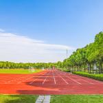 Harmless Eco Sports Flooring Athletic Odorless Red Running Track