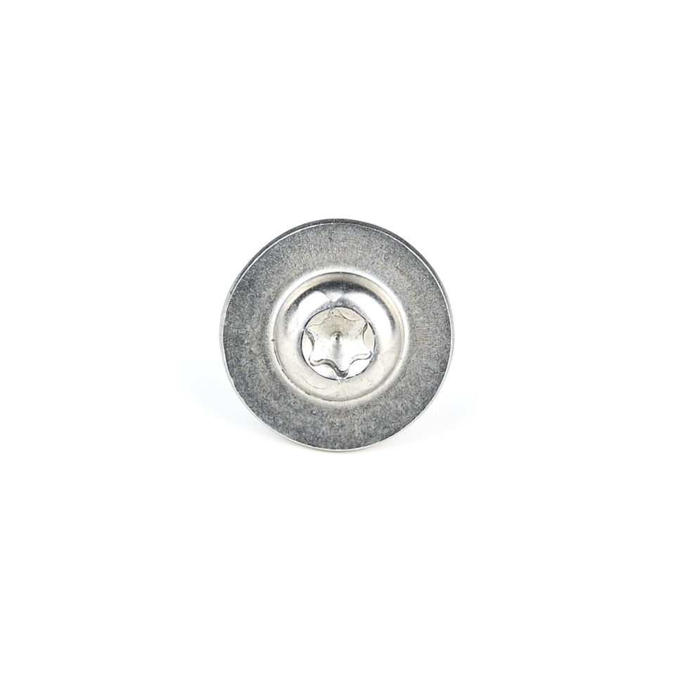 Stainless Steel Torx Round Head Self Drilling Screw Tornillos Acero Inoxidable Material
